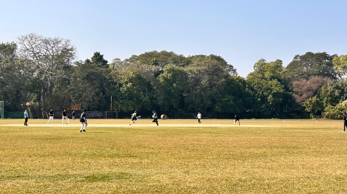Cricket 1