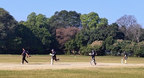 Cricket 3